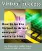 Virtual Success